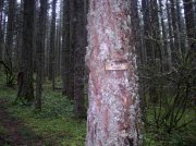 5.7.06 Wauna Point 012 